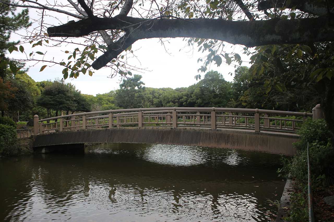 名城公園：御深井池倒影中的名城秋色