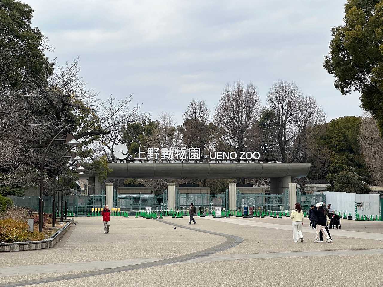 上野動物園與國立博物館聯票：一票玩遍上野文化圈