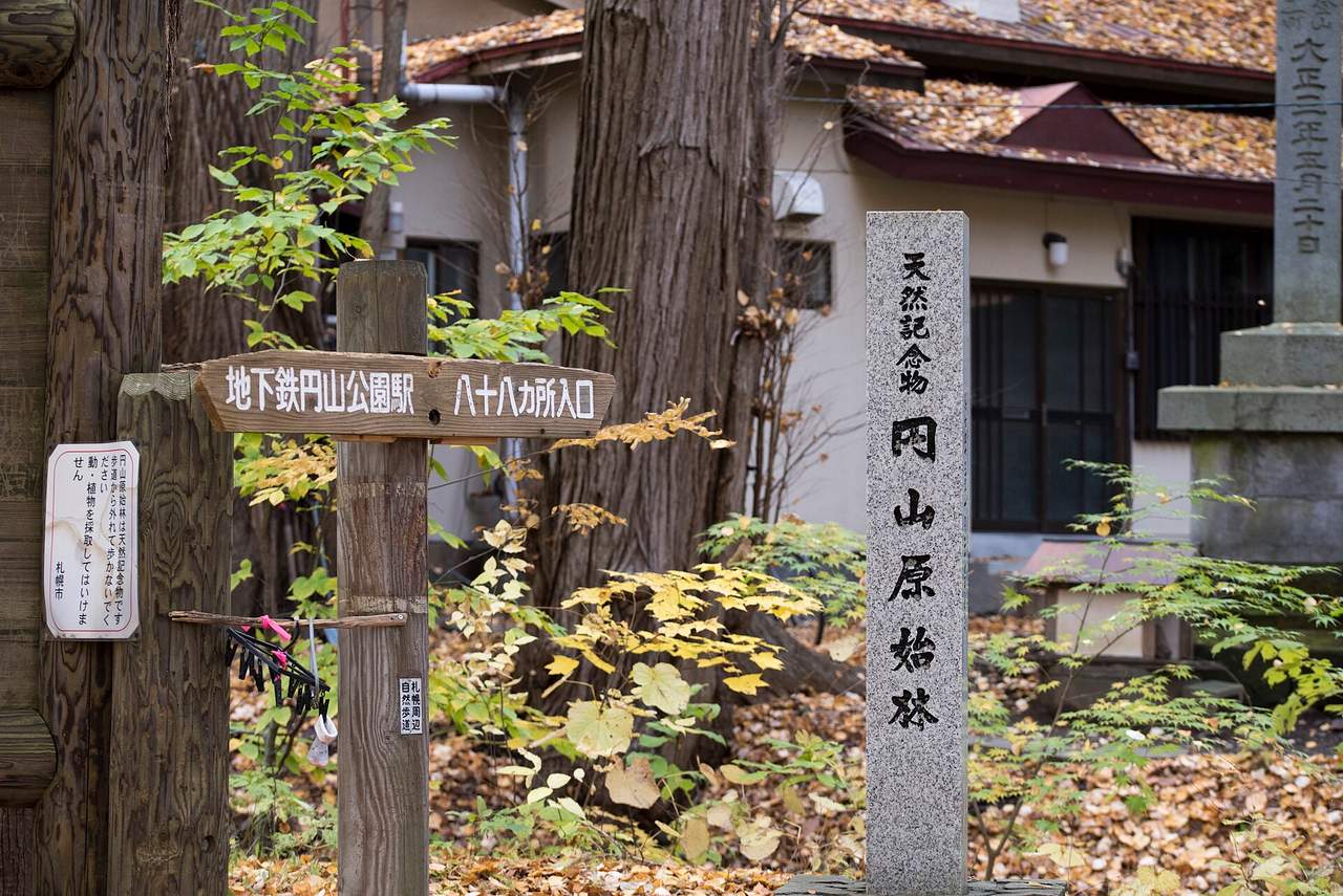 北海道神宮×円山公園自然文化散策導覽:專業中文導遊帶你認識神宮歷史與周邊生態