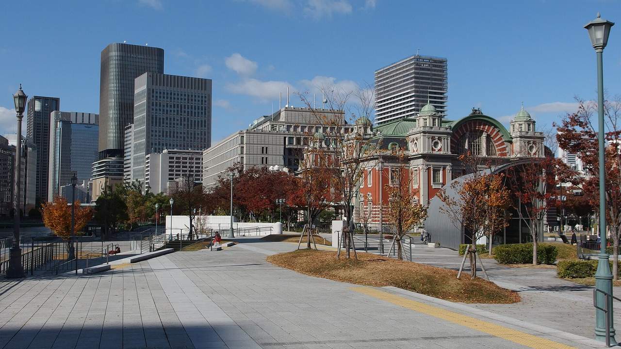 中之島公園櫸木並木：11月限定的河岸紅葉步道