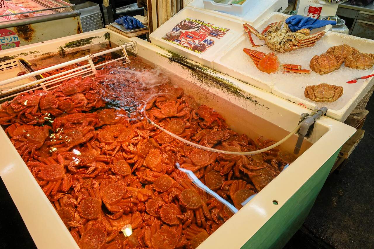 三角市場：在地海鮮丼激戰區