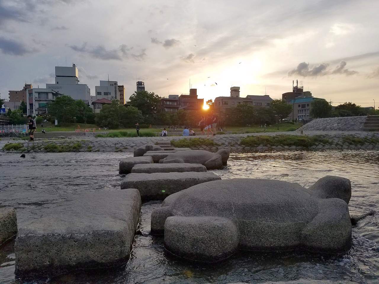 鴨川三角洲跳烏龜＋河岸單車租借體驗：省力玩遍鴨川沿岸