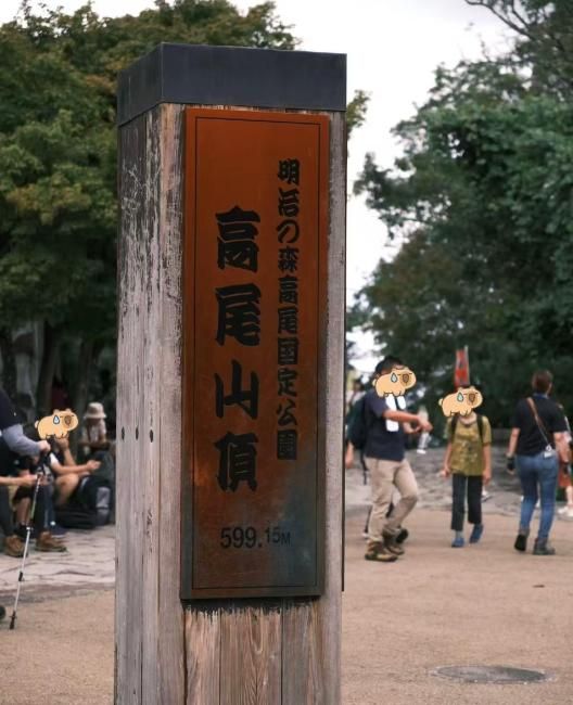 東京出發高尾山藥王院,森林輕徒步一日包車|近郊森林避暑健行休閒行程