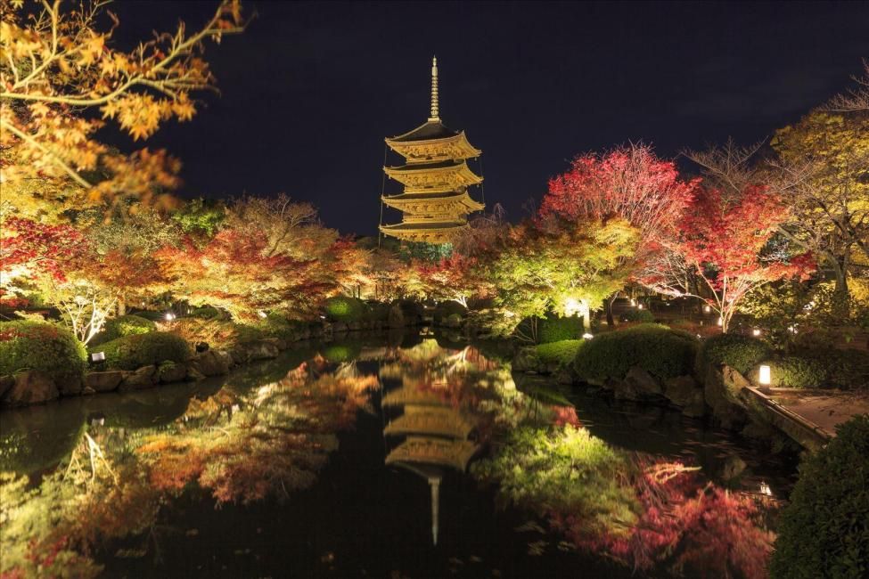 Kyoto Autumn Leaves One-Day Tour | Stroll Through the Ancient Capital in Brilliant Autumn Colors, Visiting Daigoji, Eikando and Toji (Early Entry Included) | A Bus With Restrooms the Whole Way for a More Comfortable Long Ride [Departing From Umeda, Shin-Osaka, Namba OCAT and Kyoto]