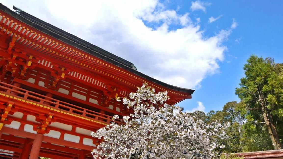 [Kyoto Day Tour] Daitoku-ji Soken-in, Kamigamo Shrine, Shimogamo Shrine and a Mugi-gohan and Yam Set Meal