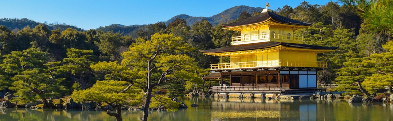 [Kyoto Spring Cherry Blossom Trip] Ryoanji, Ninna-ji, Kinkakuji and Hirano Shrine Night Sakura | Private Car Day Tour