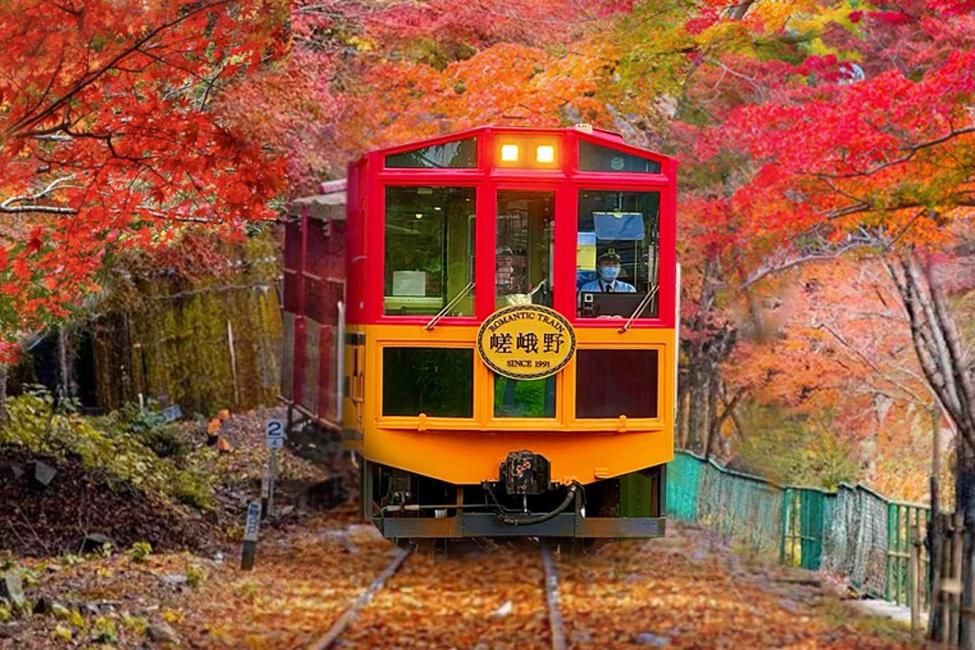 Kyoto and Nara Day Trip: Nara Park, Fushimi Inari Taisha and Arashiyama | Togetsukyo Bridge & Bamboo Grove Path, Optional Sagano Romantic Train (from Osaka/Kyoto)