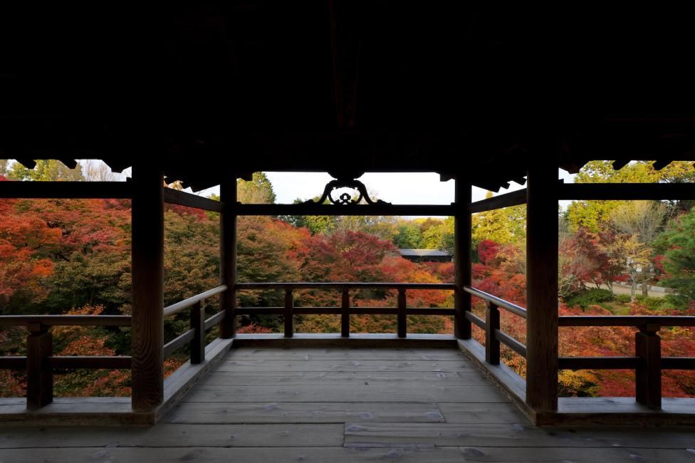 Kyoto Foliage Day Trip | Chishaku-in, Arashiyama and Tofuku-ji Tsutenkyo Bridge | Departs From Kyoto Station