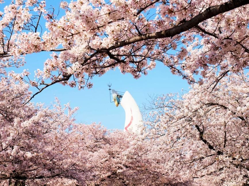 Osaka Expo Commemoration Park | Nature and Cultural Garden Ticket