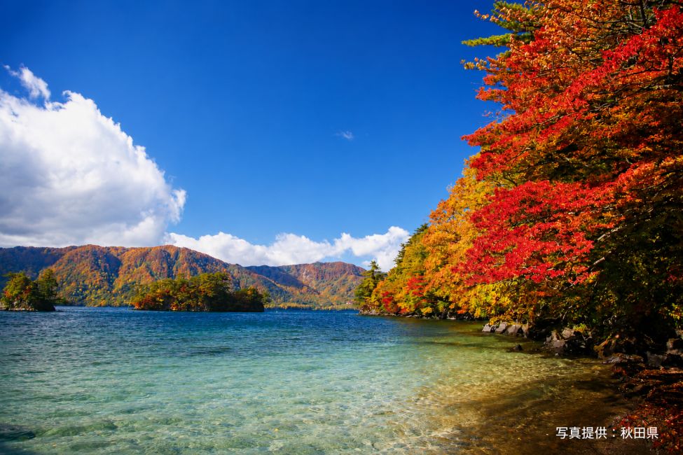 Tohoku 2-Day Tour | Naruko Gorge, Mogami River, Kakunodate Samurai District, Lake Tazawa, Dakigaeri Gorge, Chuson-ji / Geibikei Gorge | Departing Sendai