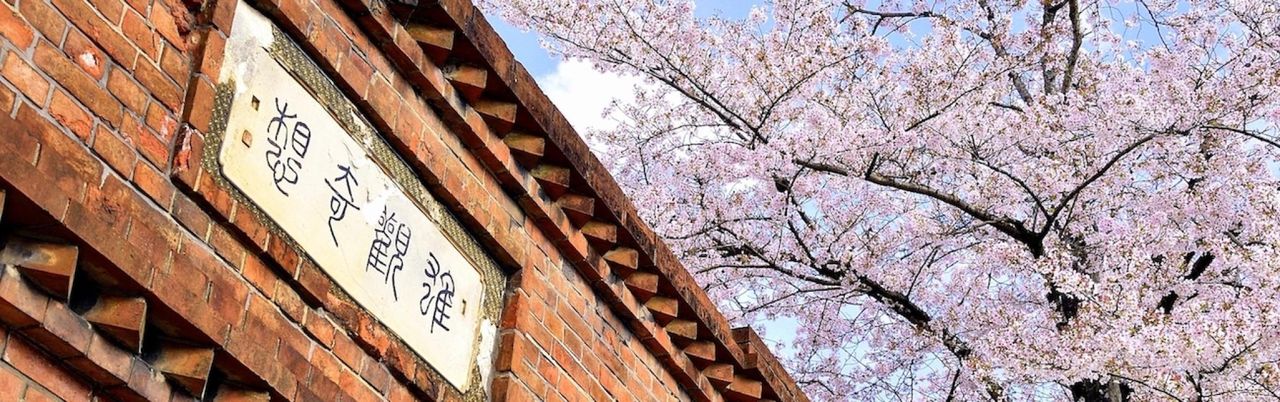 [Kyoto Spring Sakura Trip] Daigo-ji, Uji Byodo-in and Keage Incline | Private Car Day Tour
