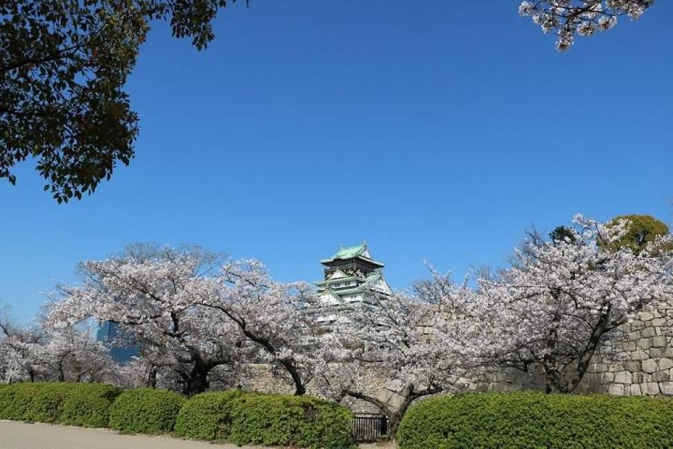 Osaka, Japan | Osaka Castle Park Nishinomaru Garden E-Ticket