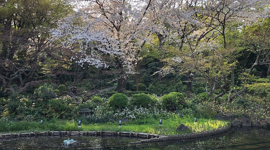 御殿山庭園