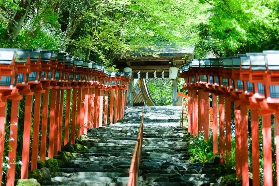 Kyoto Kifune Kawadoko Dining Day Tour | Fujiya, Kifune Shrine, Ryoan-ji and Imamiya Shrine Summer Cool-Down Trip