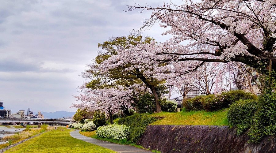 鴨川