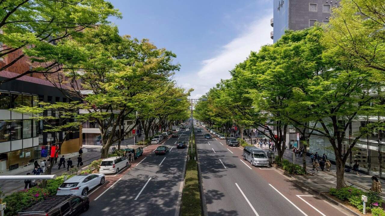 2026明治神宮周邊逛街攻略：表參道精品建築美學、竹下通潮流巷弄與人氣商圈完整推薦