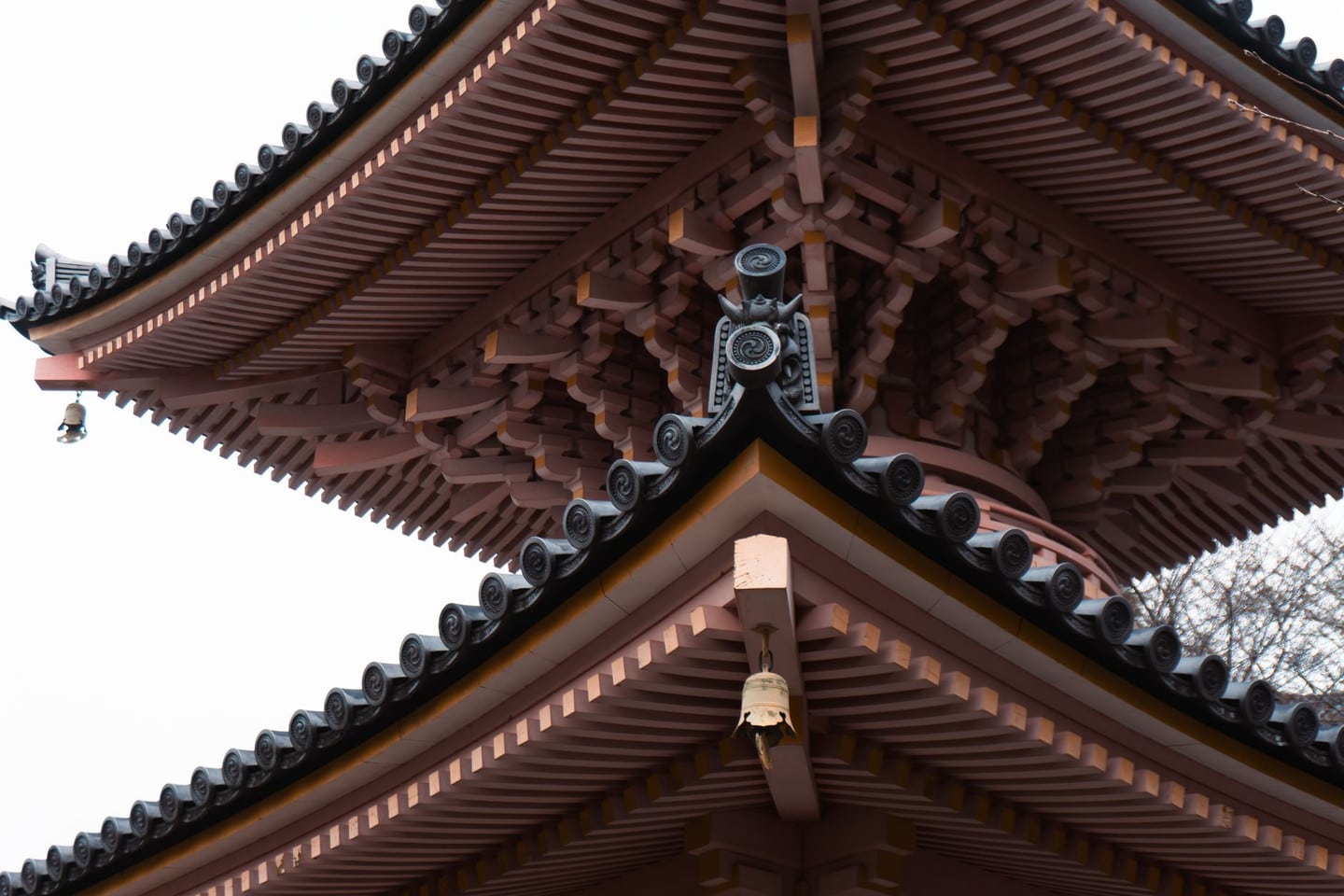京都文化財半日／一日導覽行程：專業導遊帶你深入東寺與周邊古蹟