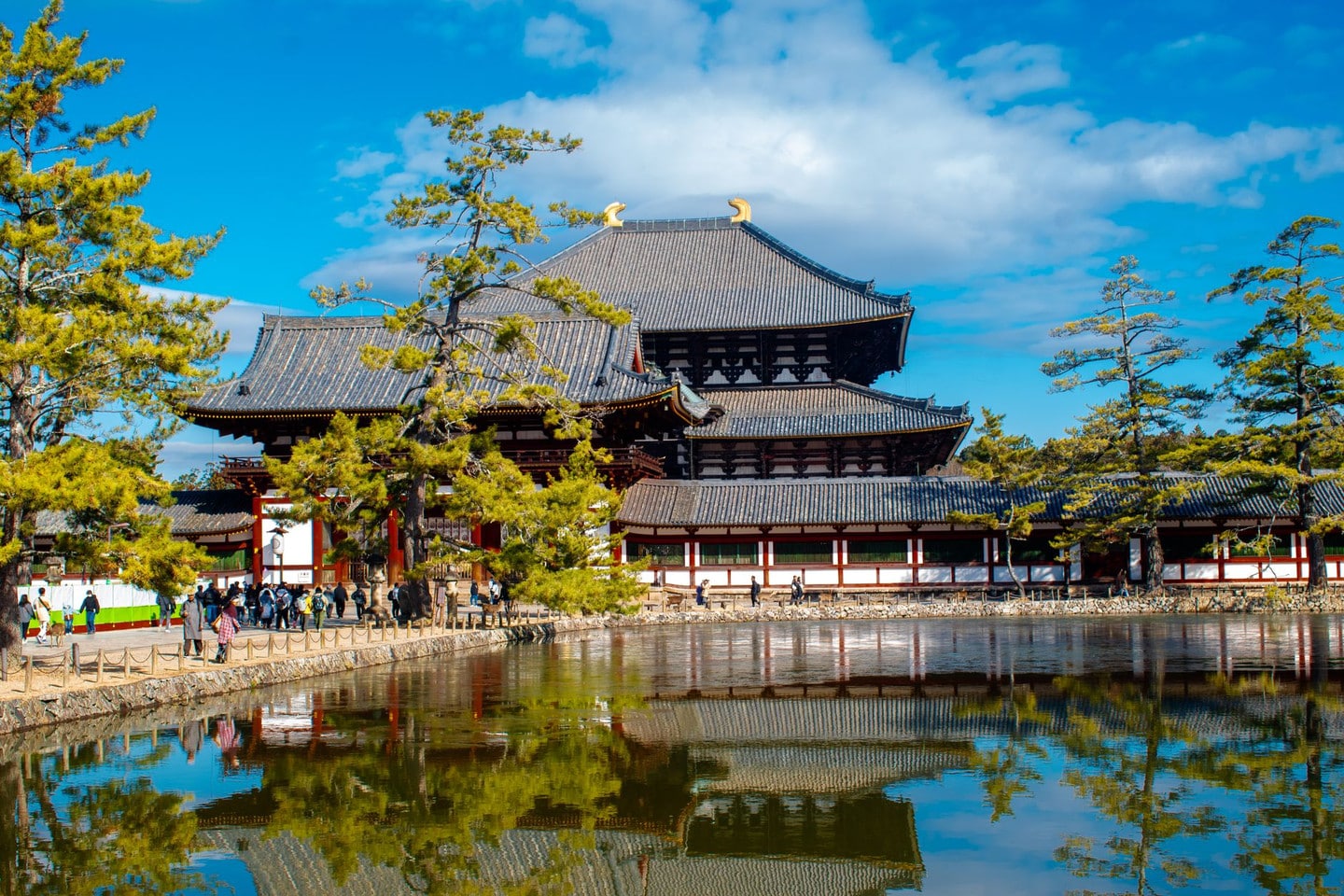 東大寺推薦參拜路線：第一次來就照著走