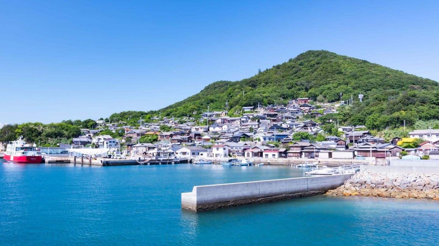 伊根舟屋秋季楓紅:山海交織的豐收色彩