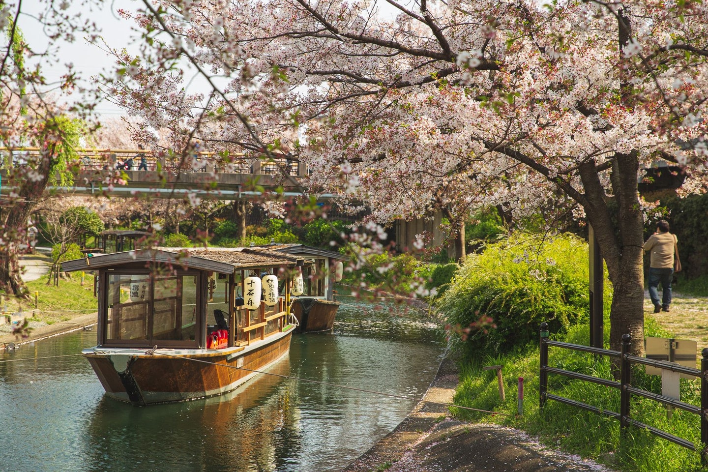 大川遊船與櫻之宮公園