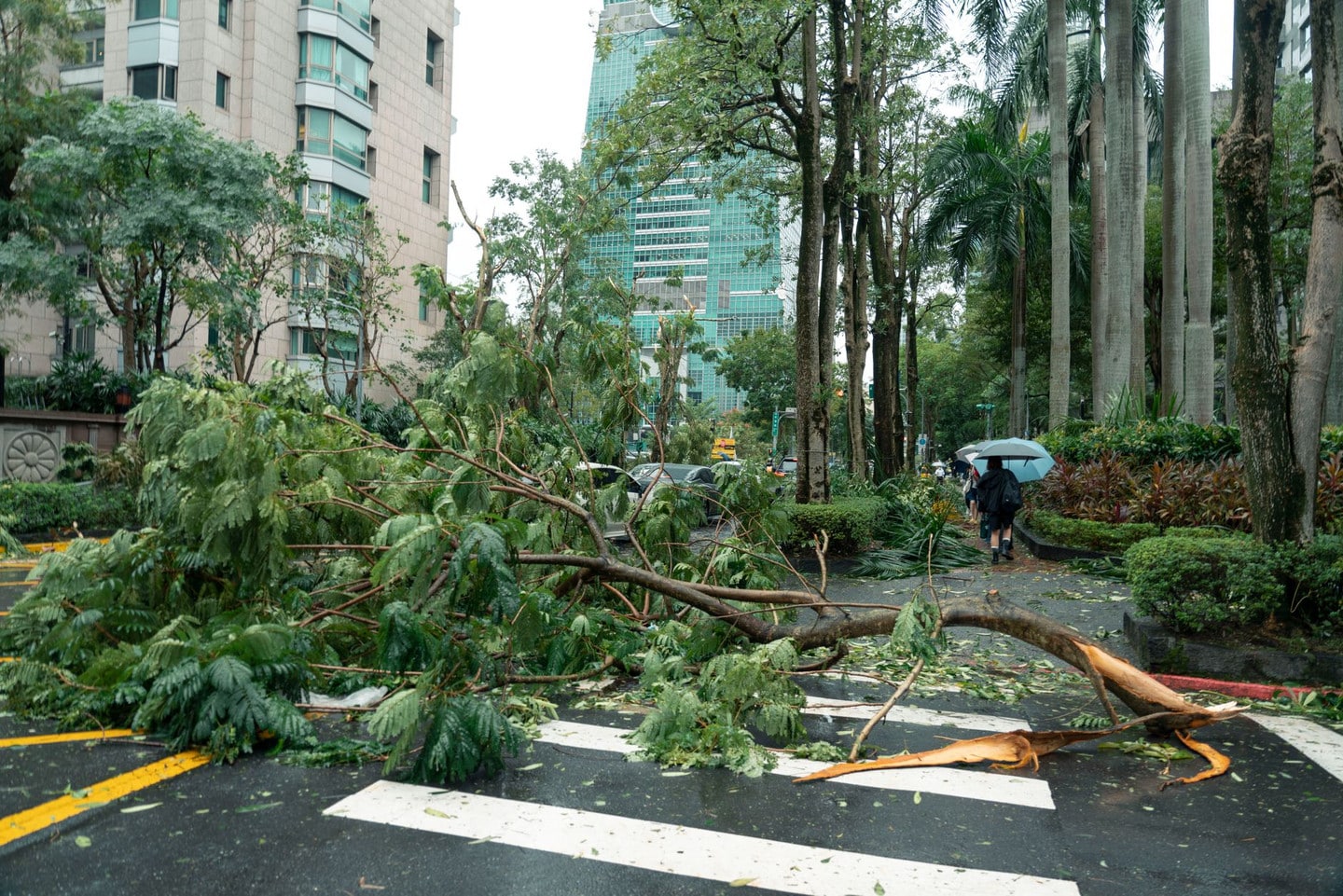 惡劣天氣應變:小雨照常、強風雷雨恐取消