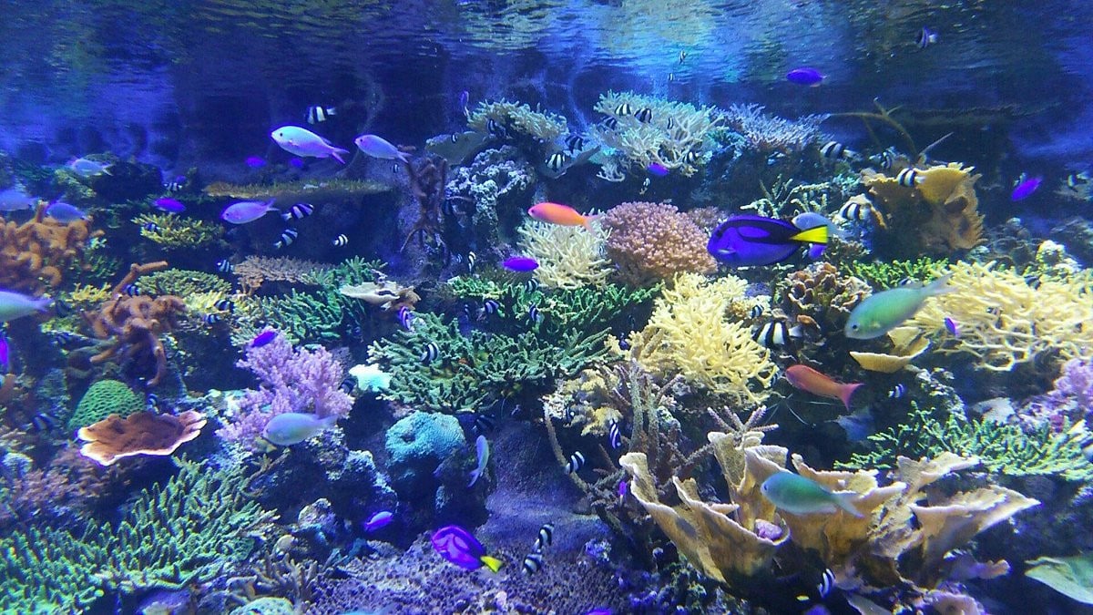 赤道之海