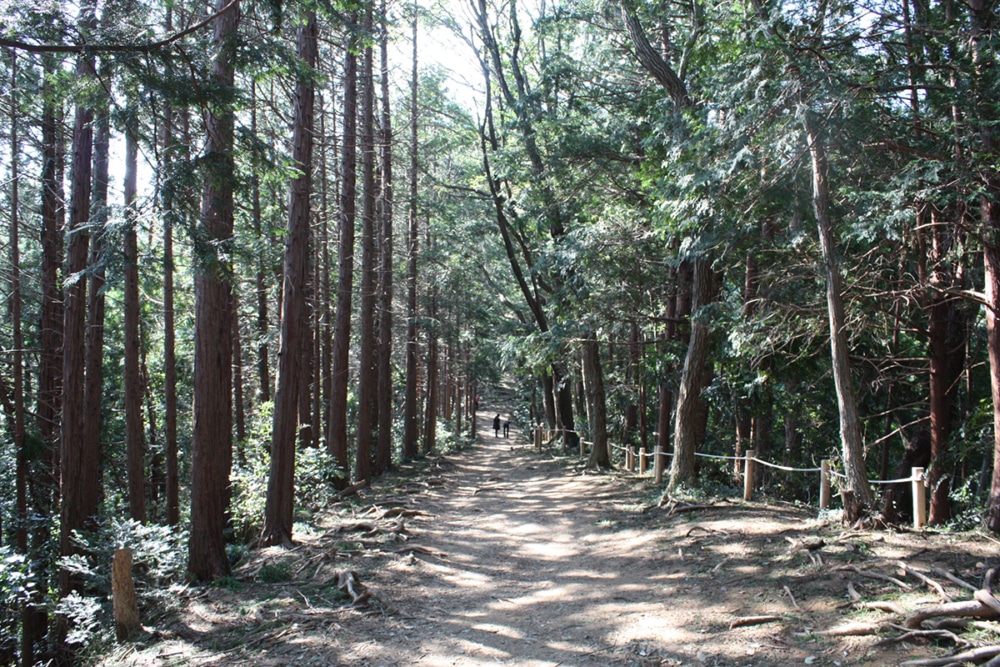 稻荷山路線(展望台路線)
