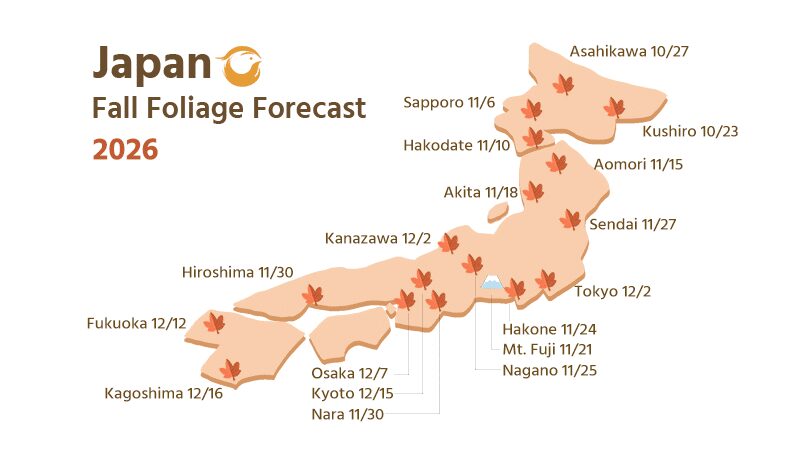 2026東京賞楓攻略：必訪景點、交通指南與美食推薦