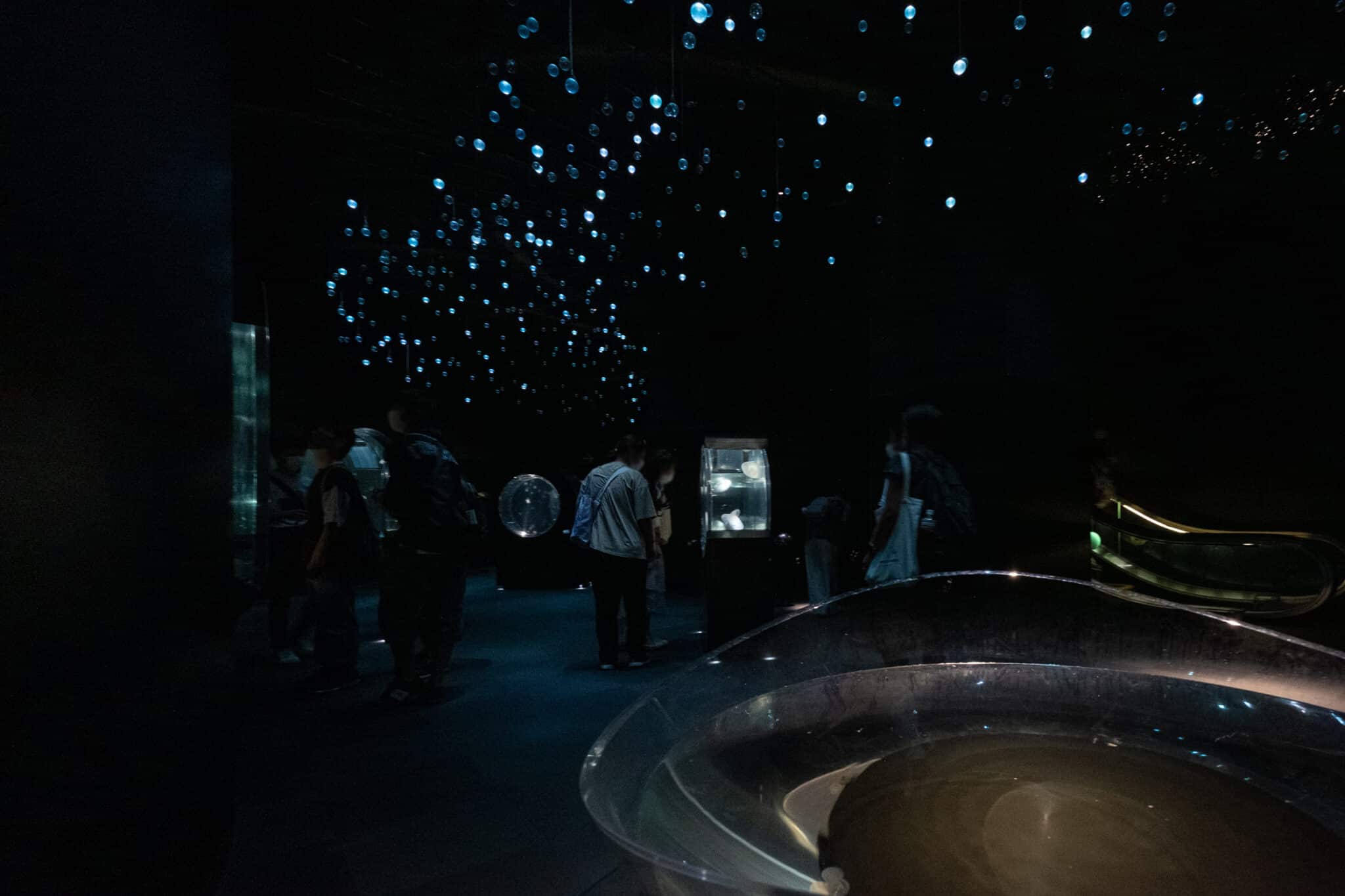 水母銀河