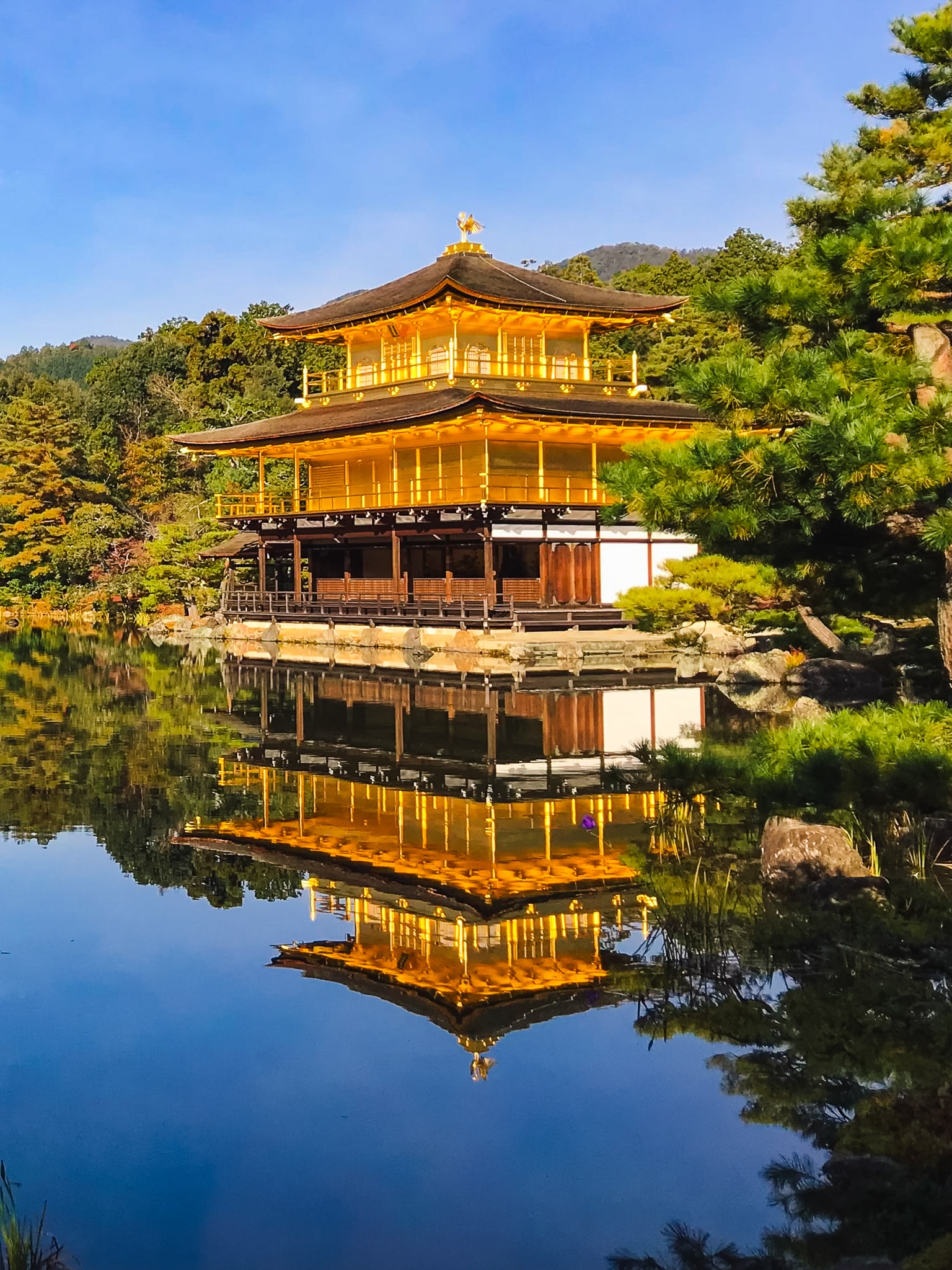 金閣寺