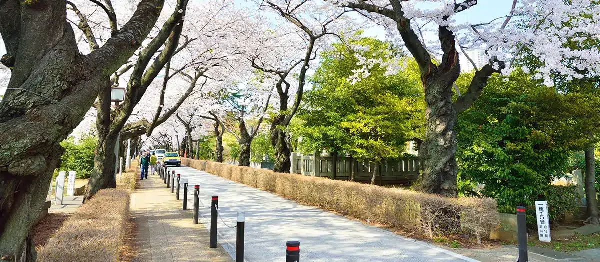 青山墓地