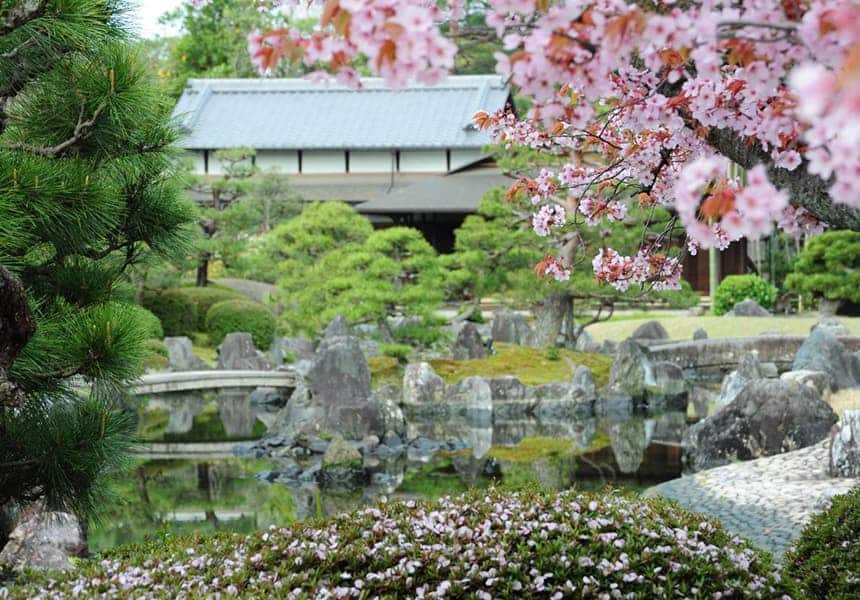 四季賞花：梅花、櫻花、楓葉