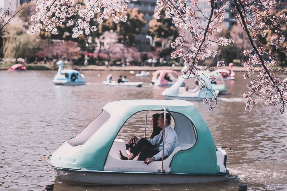 井之頭恩賜公園划船體驗：浪漫湖景放鬆時光