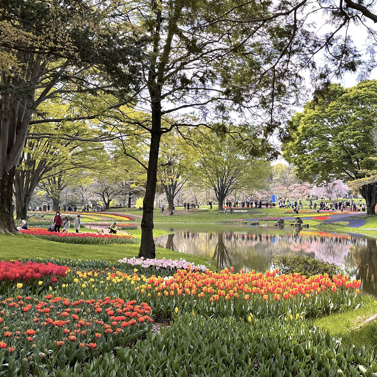 Showa Kinen Park – Jonelle Patrick writes about Japan