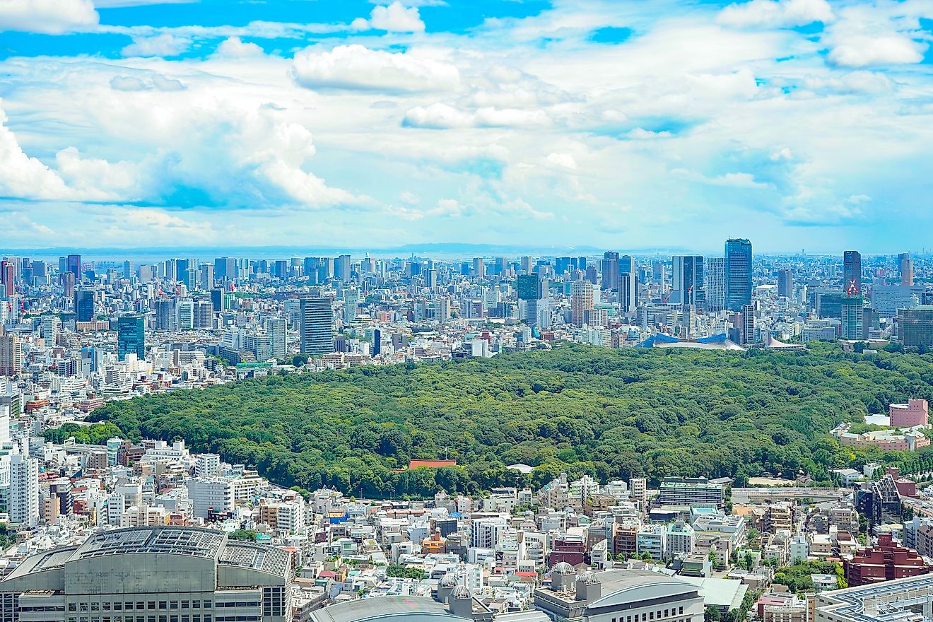代代木地區