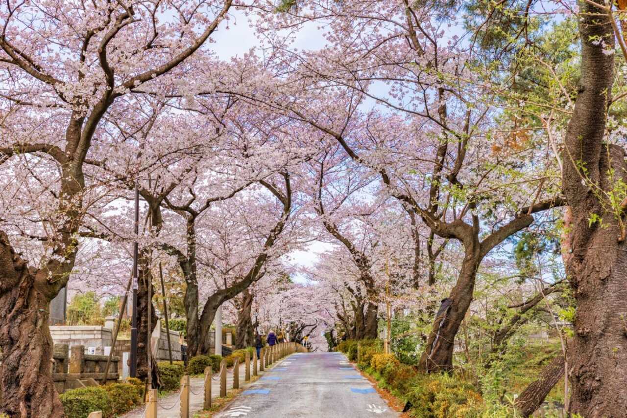 青山靈園