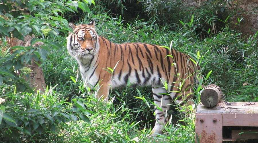 多摩動物公園