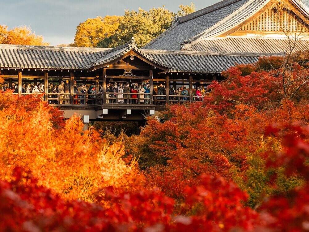 通天橋
