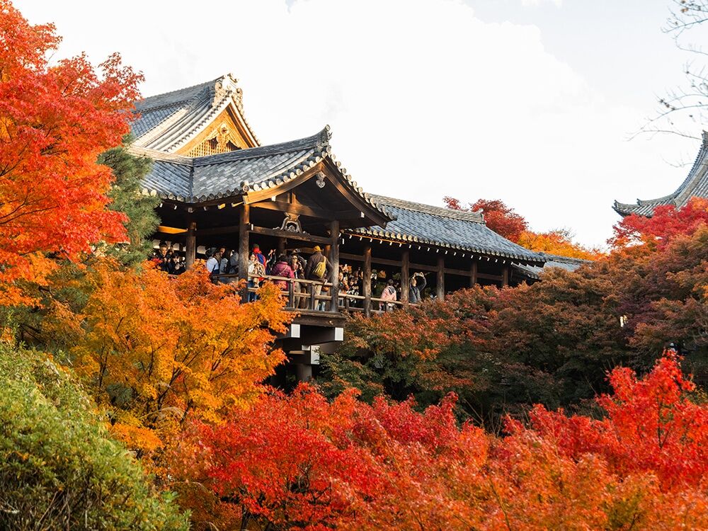 Tofukuji Temple - A famous spot for viewing autumn leaves - Recommended  spots around Tsutenkyo Bridge, the magnificent Sanmon Gate and the main  hall - Kyoto Gourmet and Kyoto Sightseeing GO KYOTO
