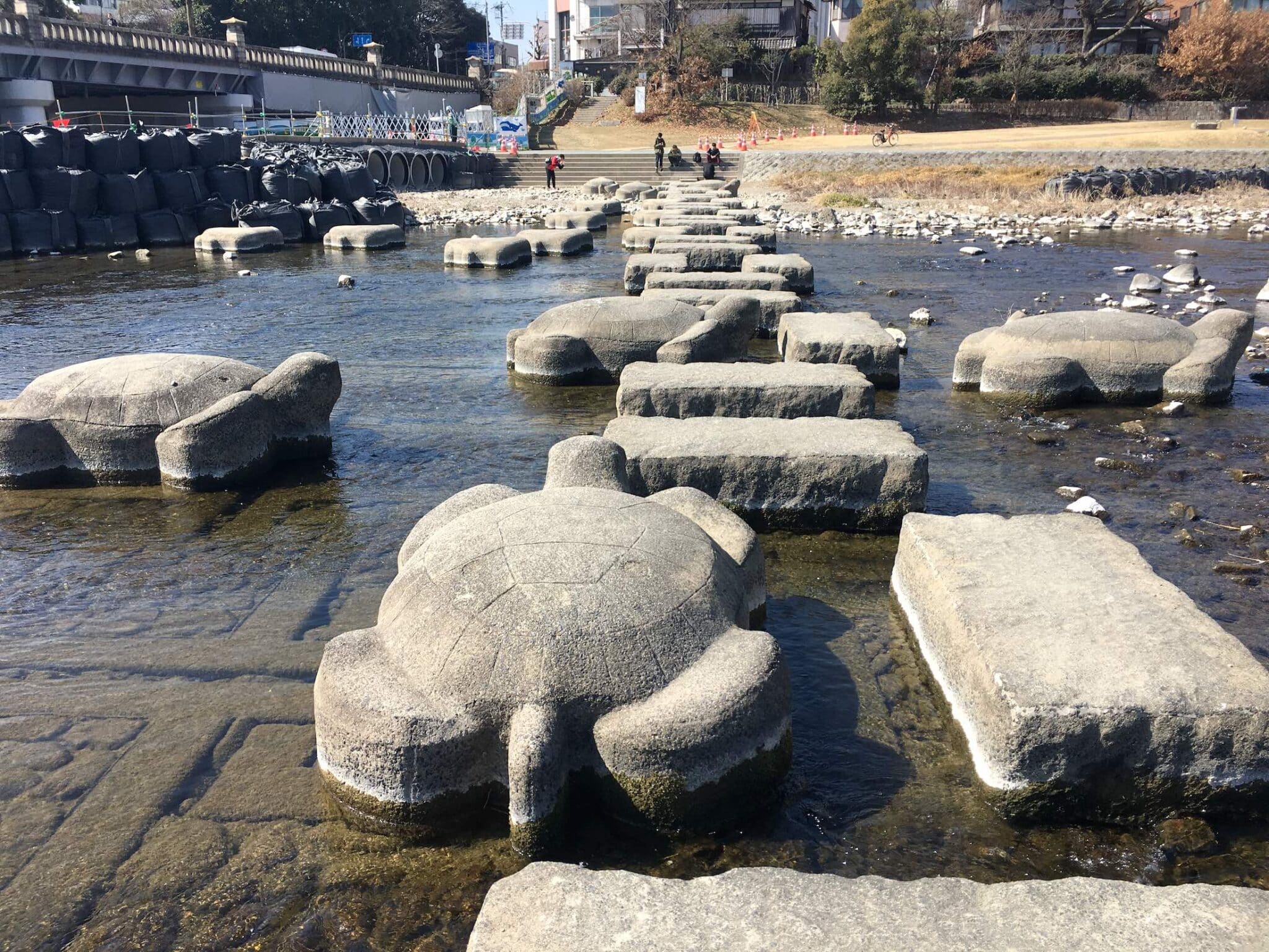 2026京都出町柳攻略：鴨川三角洲跳烏龜、下鴨神社與大學城散策全解析