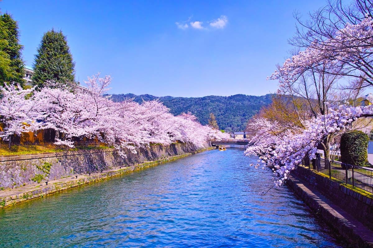 岡崎公園