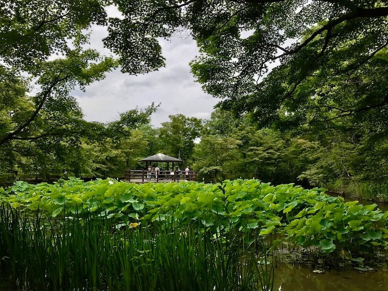 なからぎ之森