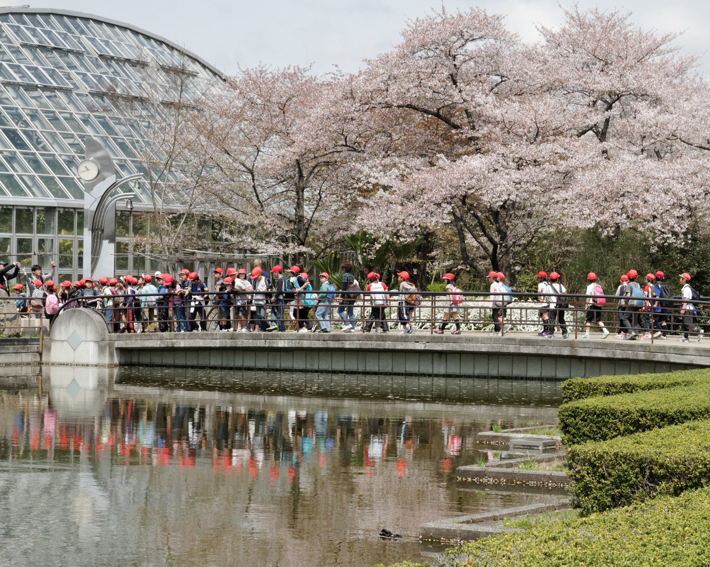 京都府立植物園