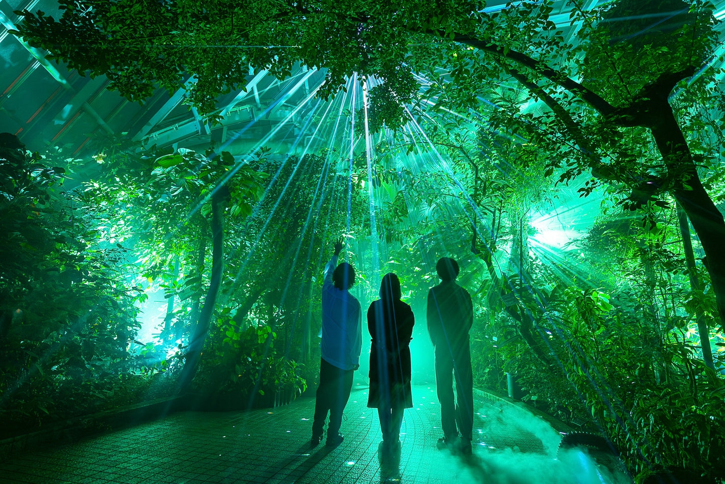 LIGHT CYCLES KYOTO
