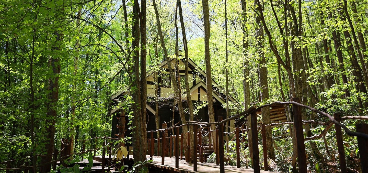 森のカフェ Forest Cafe