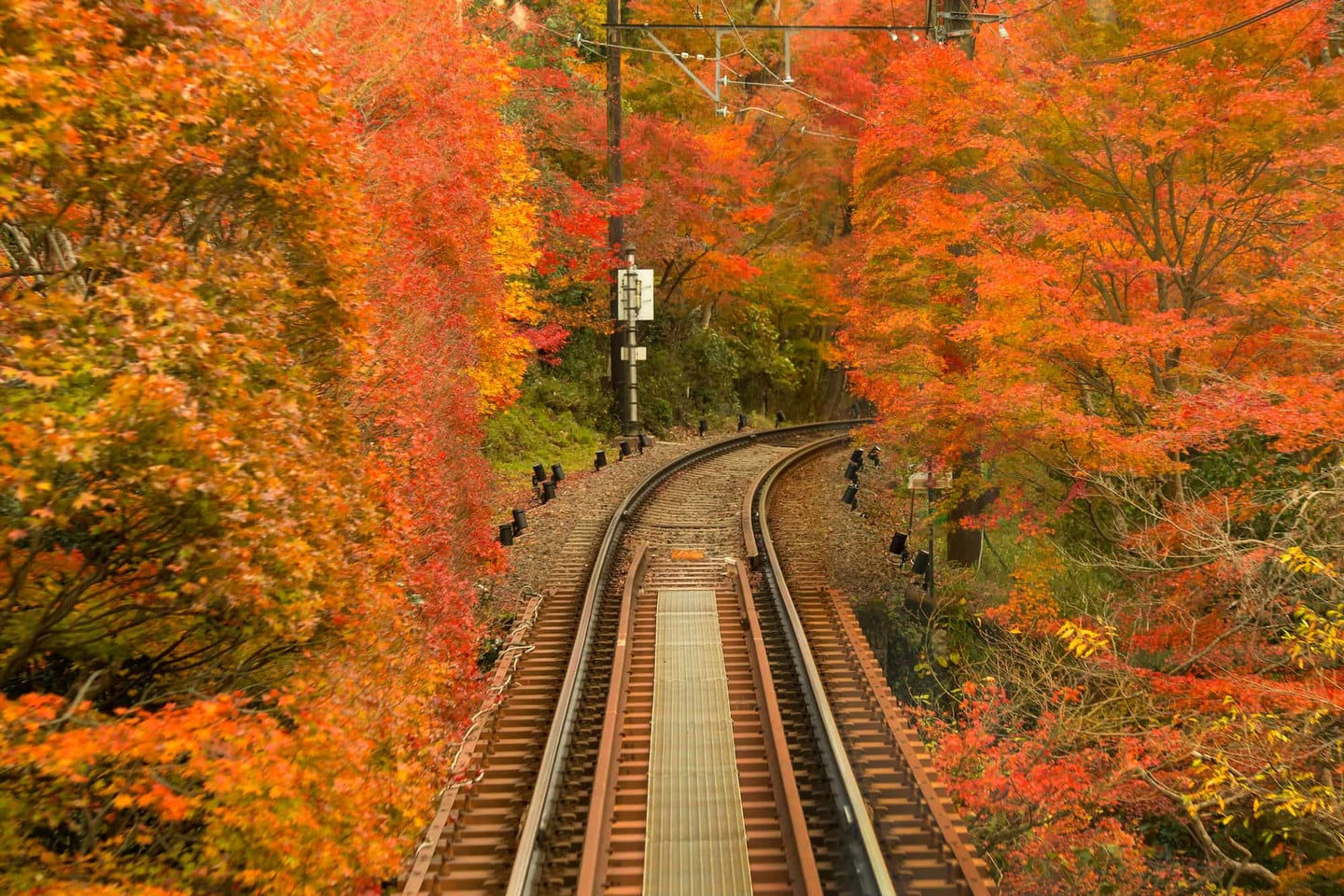 紅葉隧道