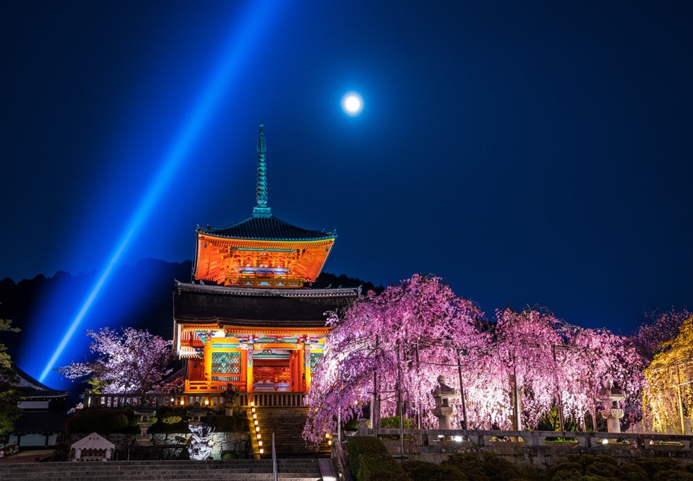 Cherry Blossom Night Lighting at Kiyomizudera Temple - Travel Caffeine