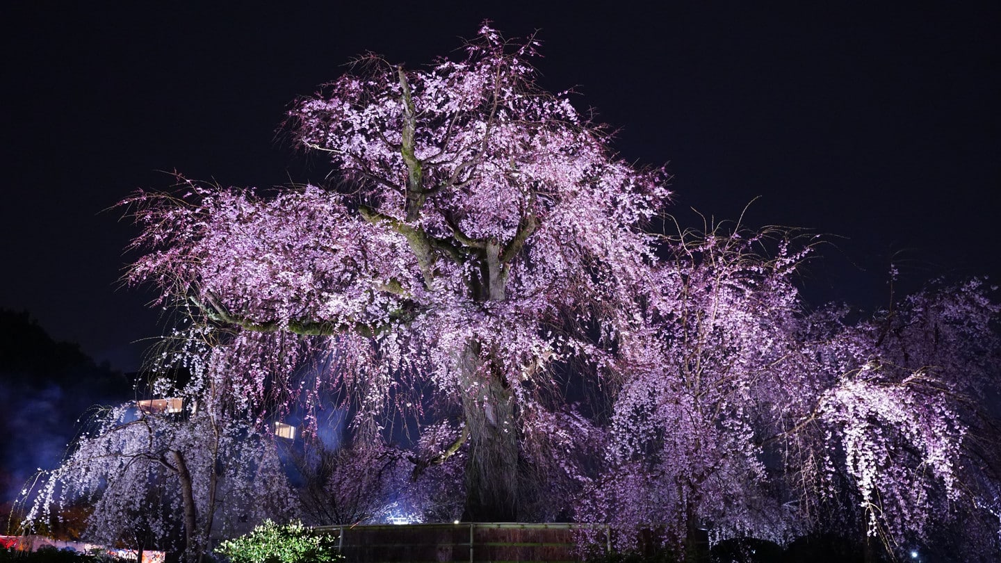 圓山公園
