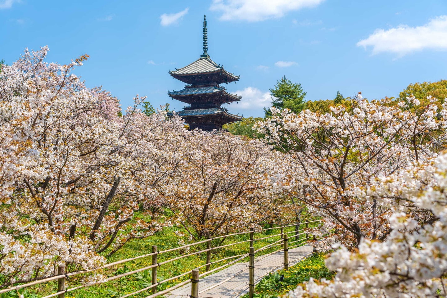 仁和寺