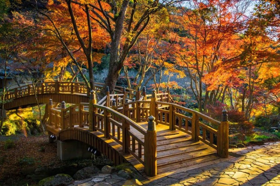熱海梅園賞梅與紅葉雙重門票